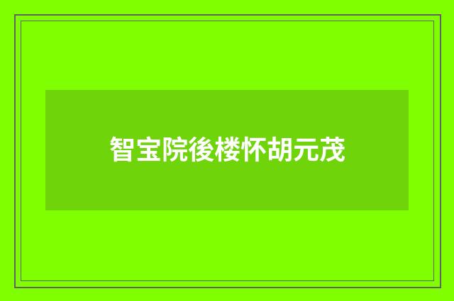 智宝院後楼怀胡元茂