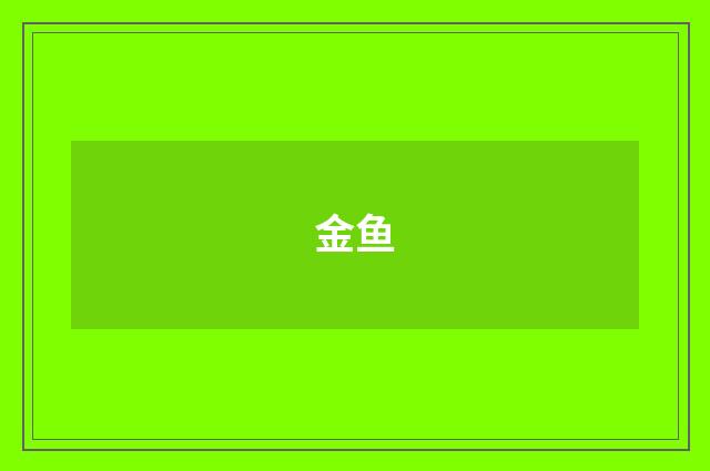 金鱼
