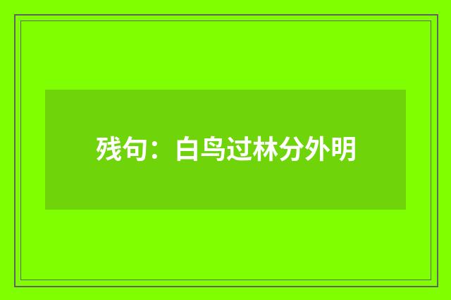 残句：白鸟过林分外明