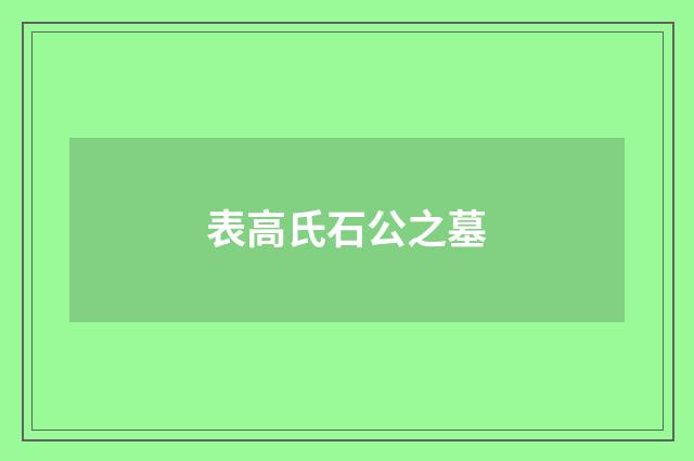 表高氏石公之墓