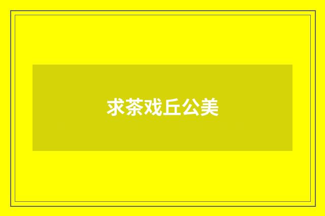 求茶戏丘公美