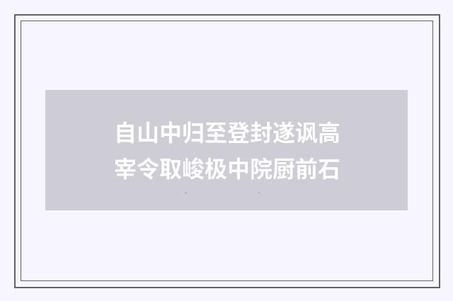 自山中归至登封遂讽高宰令取峻极中院厨前石