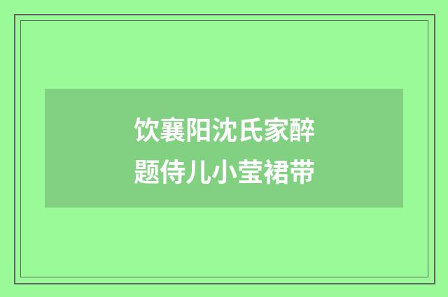饮襄阳沈氏家醉题侍儿小莹裙带
