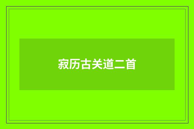 寂历古关道二首