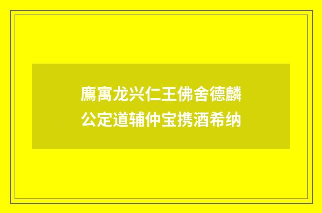 廌寓龙兴仁王佛舍德麟公定道辅仲宝携酒希纳