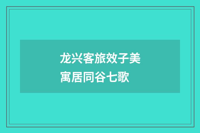 龙兴客旅效子美寓居同谷七歌