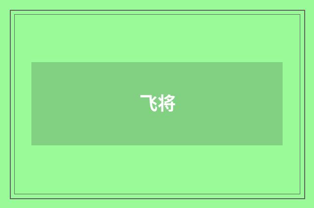 飞将