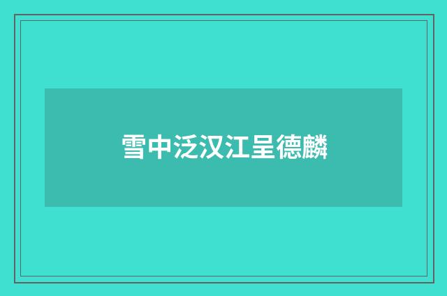 雪中泛汉江呈德麟