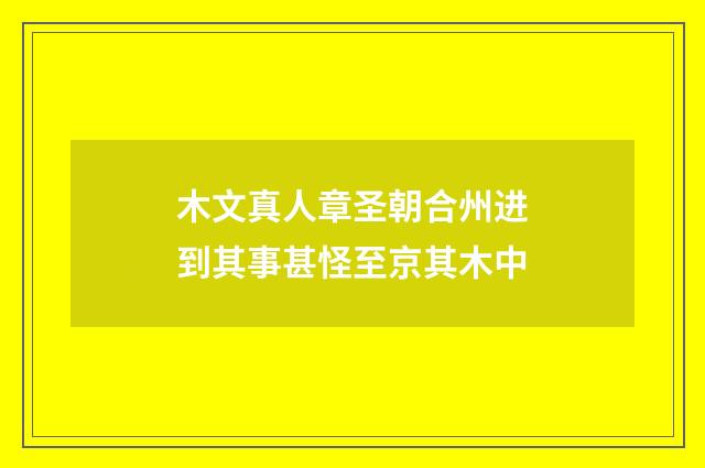 木文真人章圣朝合州进到其事甚怪至京其木中