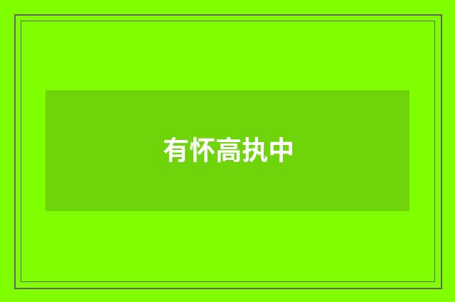 有怀高执中