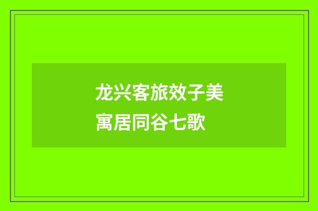龙兴客旅效子美寓居同谷七歌