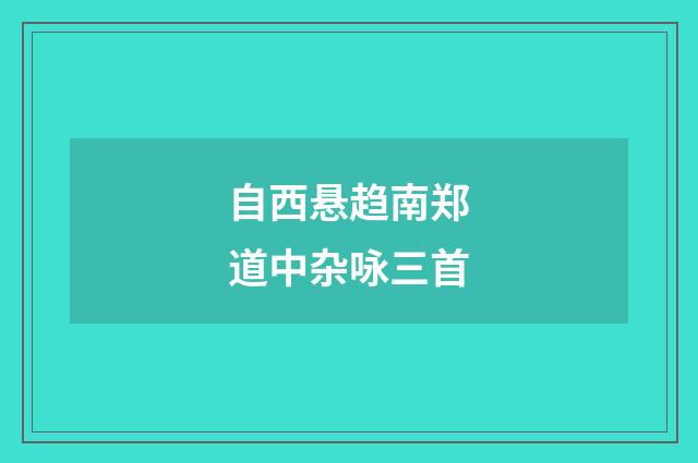 自西悬趋南郑道中杂咏三首