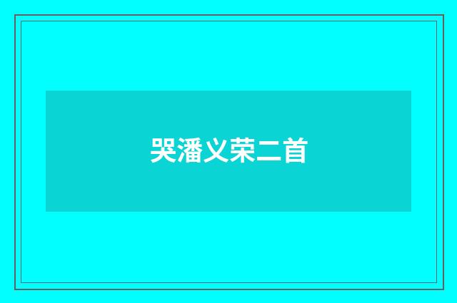 哭潘义荣二首