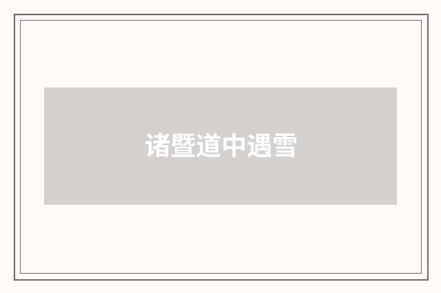 诸暨道中遇雪