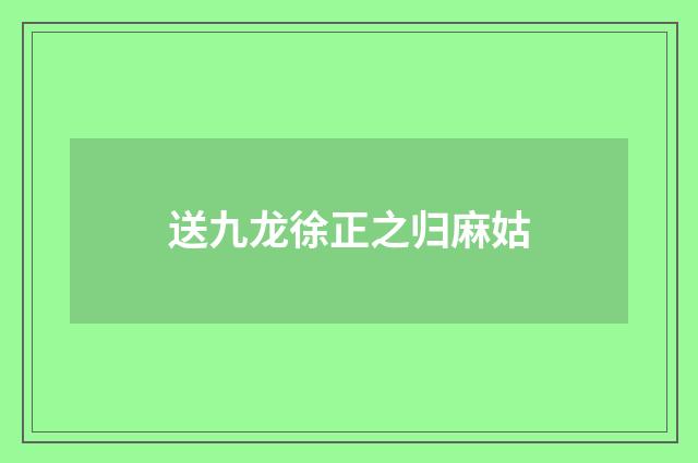 送九龙徐正之归麻姑