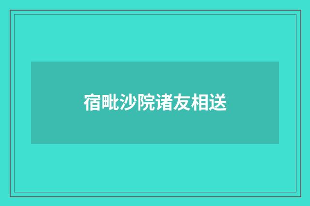宿毗沙院诸友相送