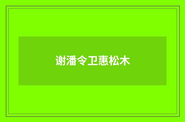 谢潘令卫惠松木