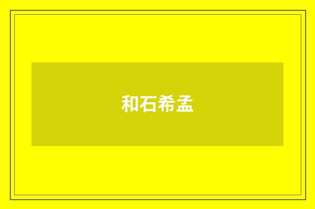 和石希孟