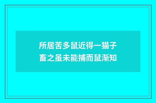 所居苦多鼠近得一猫子畜之虽未能捕而鼠渐知