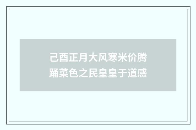 己酉正月大风寒米价腾踊菜色之民皇皇于道感