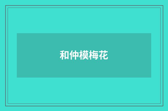 和仲模梅花