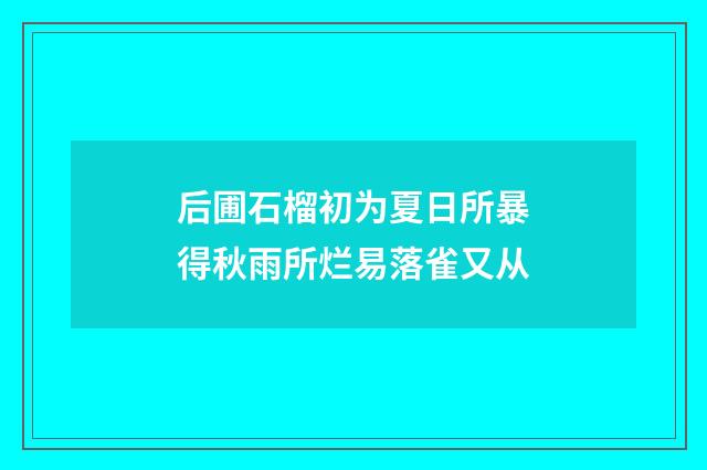 后圃石榴初为夏日所暴得秋雨所烂易落雀又从