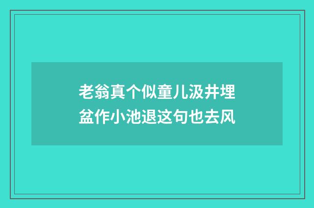 老翁真个似童儿汲井埋盆作小池退这句也去风