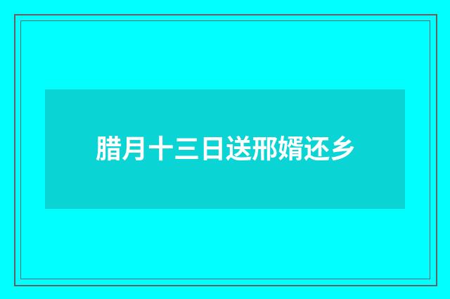 腊月十三日送邢婿还乡