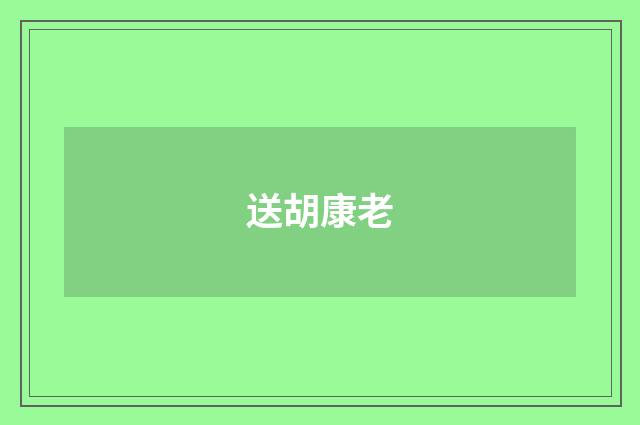送胡康老