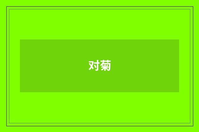 对菊