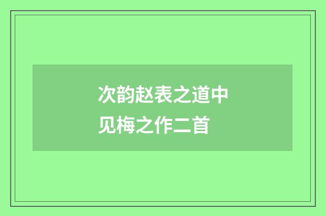 次韵赵表之道中见梅之作二首