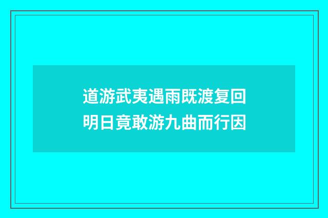 道游武夷遇雨既渡复回明日竟敢游九曲而行因