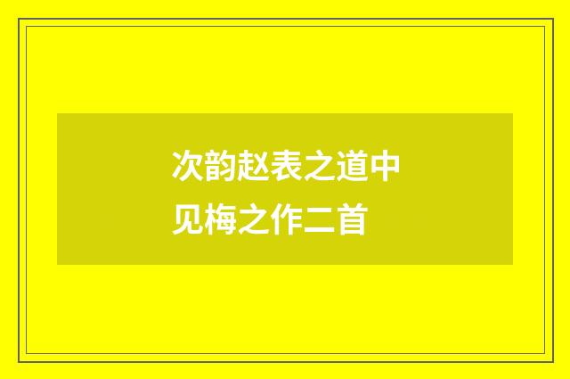 次韵赵表之道中见梅之作二首
