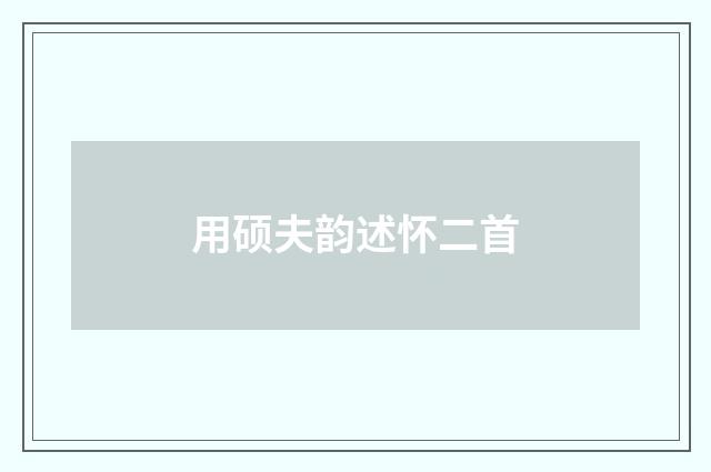 用硕夫韵述怀二首