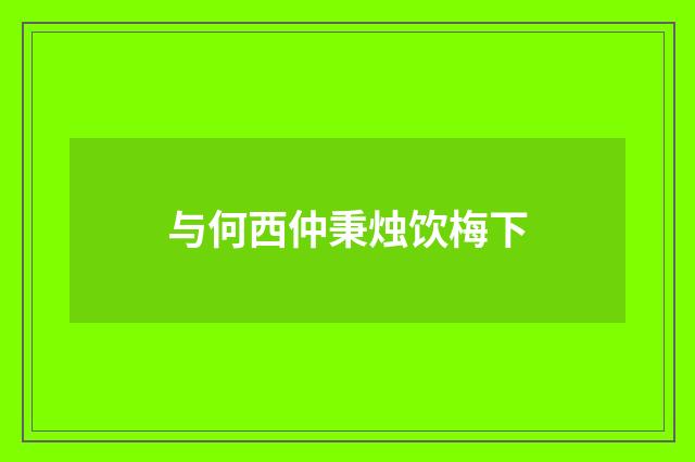 与何西仲秉烛饮梅下