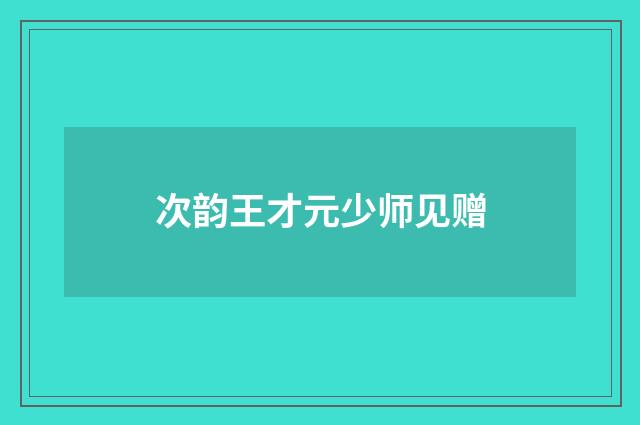 次韵王才元少师见赠