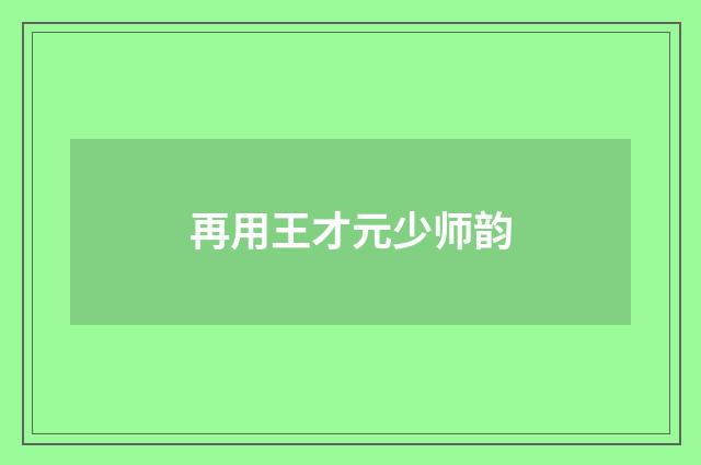 再用王才元少师韵