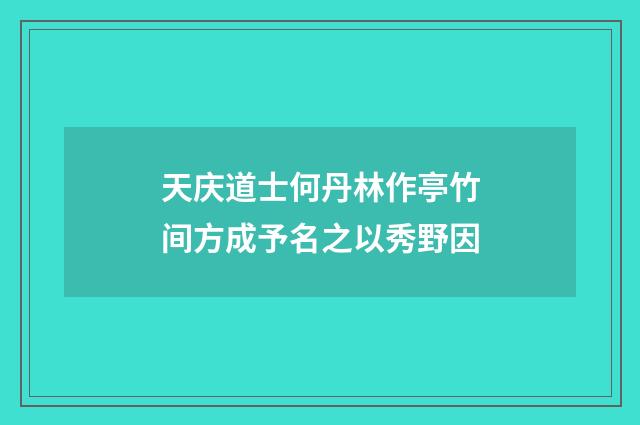 天庆道士何丹林作亭竹间方成予名之以秀野因