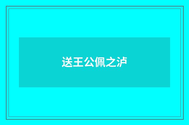 送王公佩之泸
