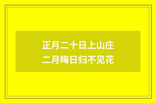 正月二十日上山庄二月晦日归不见花