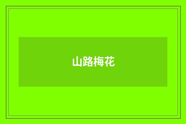 山路梅花