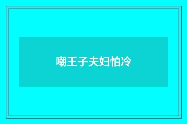 嘲王子夫妇怕冷