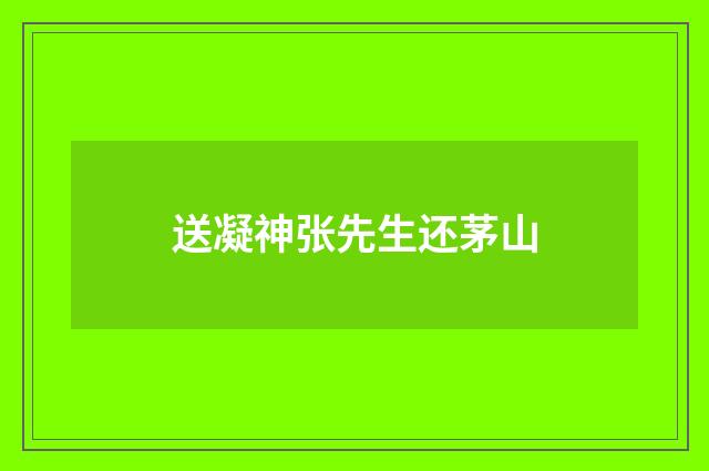 送凝神张先生还茅山