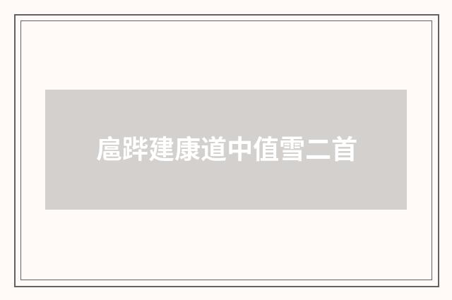 扈跸建康道中值雪二首