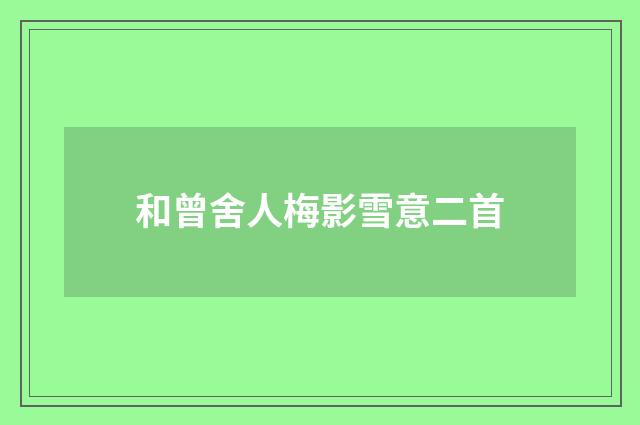 和曾舍人梅影雪意二首