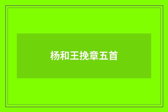 杨和王挽章五首