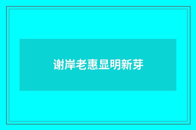 谢岸老惠显明新芽