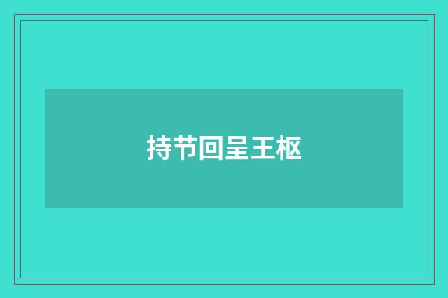 持节回呈王枢