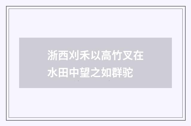 浙西刈禾以高竹叉在水田中望之如群驼