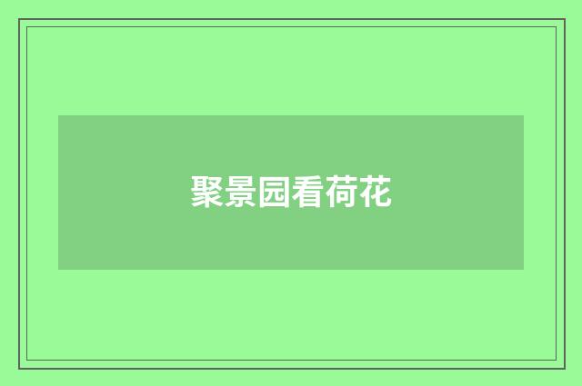 聚景园看荷花